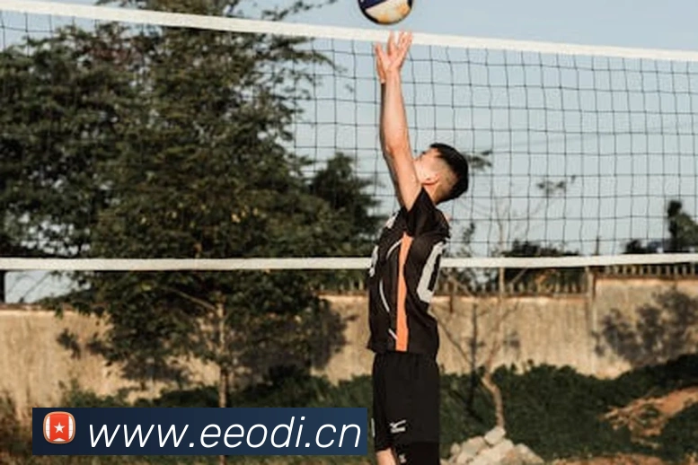 米兰app网页版登录入口品牌故事